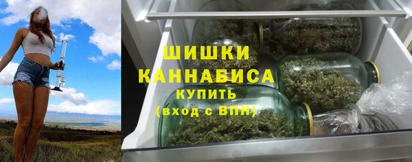 дживик Вяземский